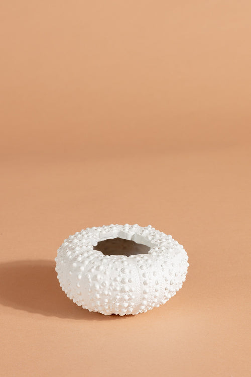 Sea Urchin Planter Small