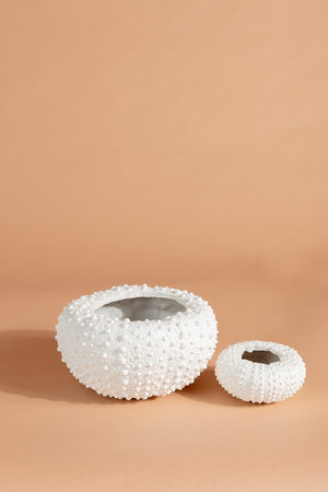 Carraig Donn Sea Urchin Planter Small