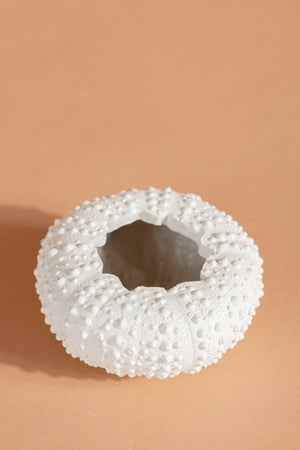 Carraig Donn Sea Urchin Planter Small