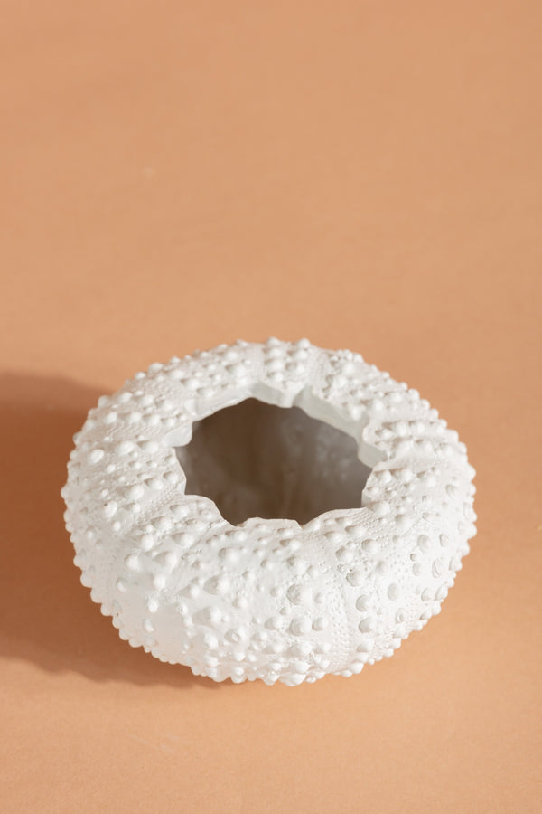 Carraig Donn Sea Urchin Planter Small