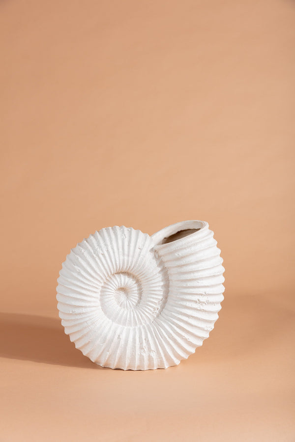 Carraig Donn Seashell Vase