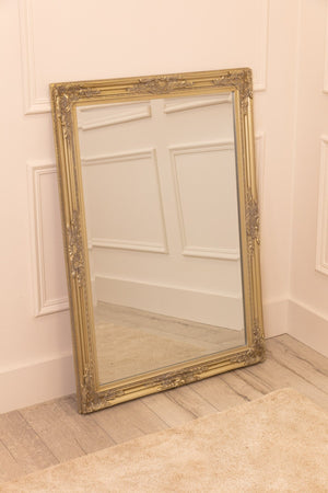 Carraig Donn Silver Champagne Wall Mirror