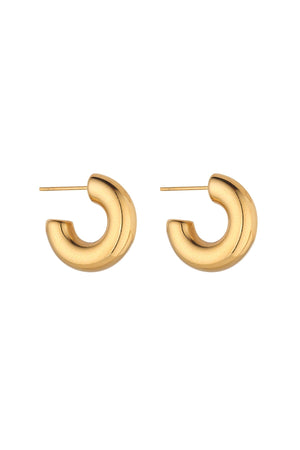 Carraig Donn Small Chunky Hoops 20mm