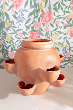 Carraig Donn Terracotta Ceramic Herb Planter