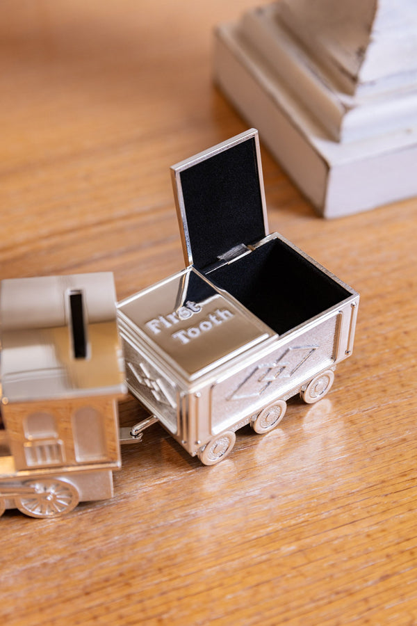Carraig Donn Train Money Box Tooth & Curl