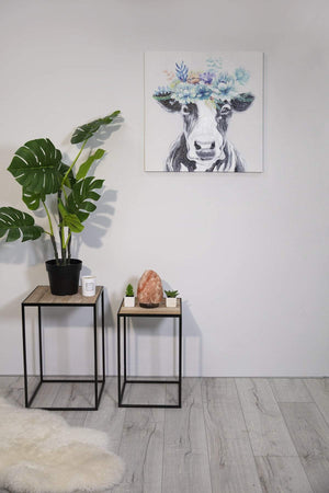 Carraig Donn Wow Cow Canvas Art Wall Decor 60 x 60