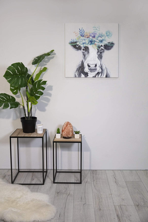 Carraig Donn Wow Cow Canvas Art Wall Decor 60 x 60